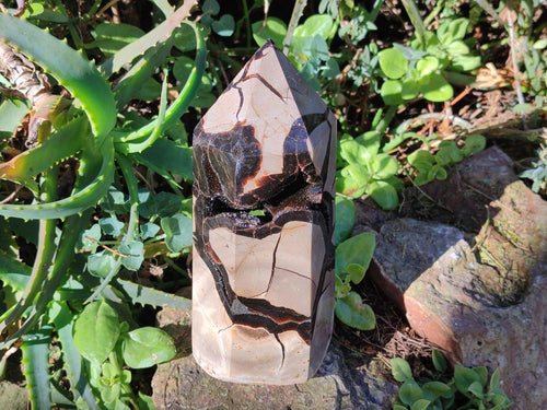 Polished Large Septerye Sauvage Display Crystal x 1 From Mahajanga, Madagascar - Toprock Gemstones and Minerals 