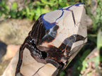 Polished Large Septerye Sauvage Display Crystal x 1 From Mahajanga, Madagascar - Toprock Gemstones and Minerals 