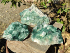 Natural Green Cubic Fluorite Specimens x 3 From Mandrosonoro, Madagascar - Toprock Gemstones and Minerals 