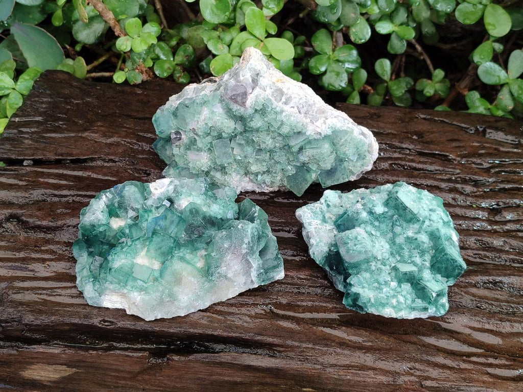 Natural Green Cubic Fluorite Specimens x 3 From Mandrosonoro, Madagascar - Toprock Gemstones and Minerals 