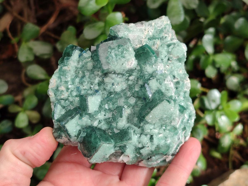 Natural Green Cubic Fluorite Specimens x 3 From Mandrosonoro, Madagascar - Toprock Gemstones and Minerals 
