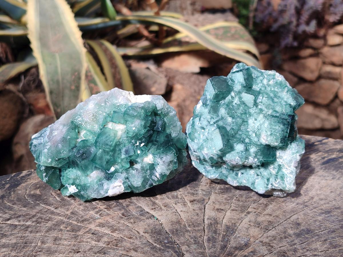 Natural Green Cubic Fluorite Specimens x 3 From Mandrosonoro, Madagascar - Toprock Gemstones and Minerals 