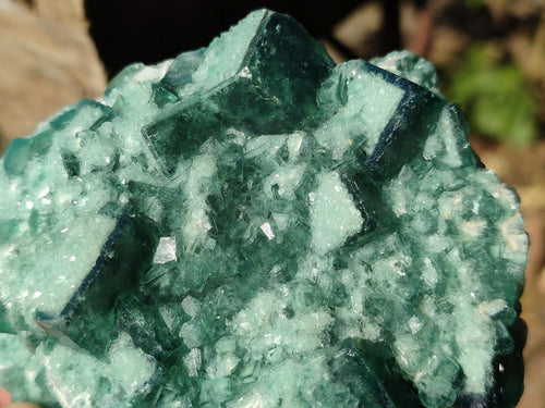Natural Green Cubic Fluorite Specimens x 3 From Mandrosonoro, Madagascar - Toprock Gemstones and Minerals 