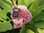 Natural Spherocobaltite Specimens x 12 From Musonoi Mine, Congo - Toprock Gemstones and Minerals 