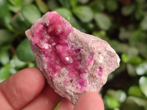 Natural Spherocobaltite Specimens x 12 From Musonoi Mine, Congo - Toprock Gemstones and Minerals 