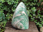 Polished XL Buddstone Standing Display Piece x 1 From Swaziland - Toprock Gemstones and Minerals 