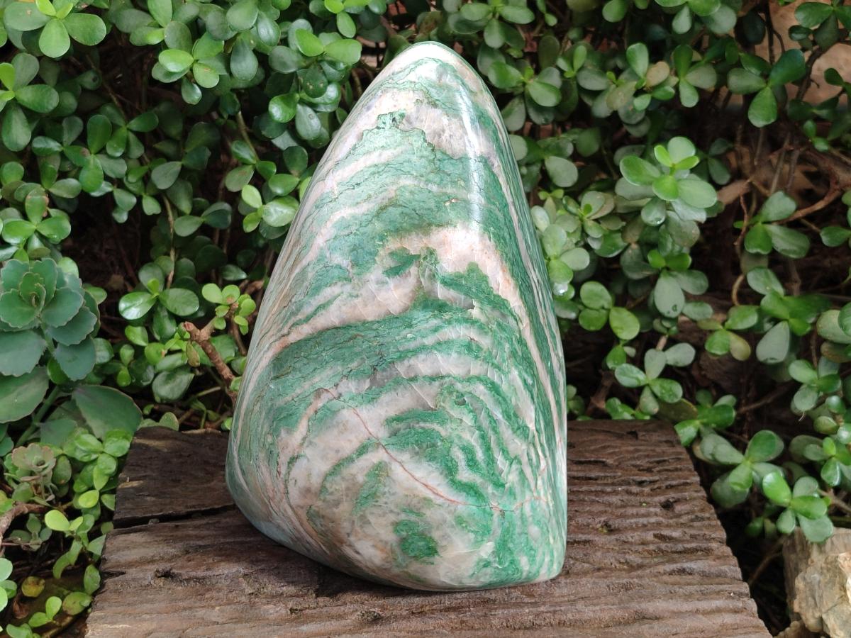 Polished XL Buddstone Standing Display Piece x 1 From Swaziland - Toprock Gemstones and Minerals 