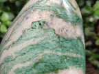 Polished XL Buddstone Standing Display Piece x 1 From Swaziland - Toprock Gemstones and Minerals 
