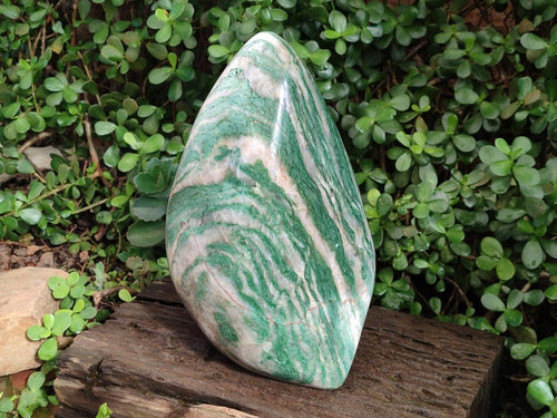 Polished XL Buddstone Standing Display Piece x 1 From Swaziland - Toprock Gemstones and Minerals 