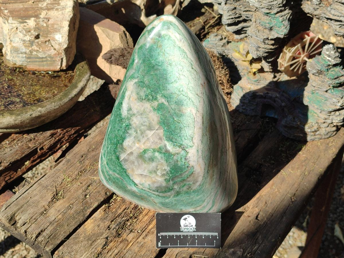 Polished XL Buddstone Standing Display Piece x 1 From Swaziland - Toprock Gemstones and Minerals 