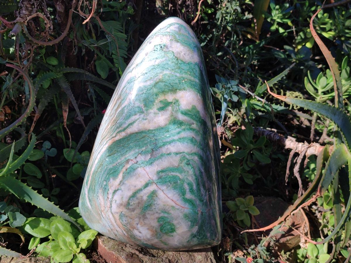 Polished XL Buddstone Standing Display Piece x 1 From Swaziland - Toprock Gemstones and Minerals 