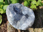 Natural Blue Celestite Specimens x 16 From Sakoany, Madagascar - Toprock Gemstones and Minerals 