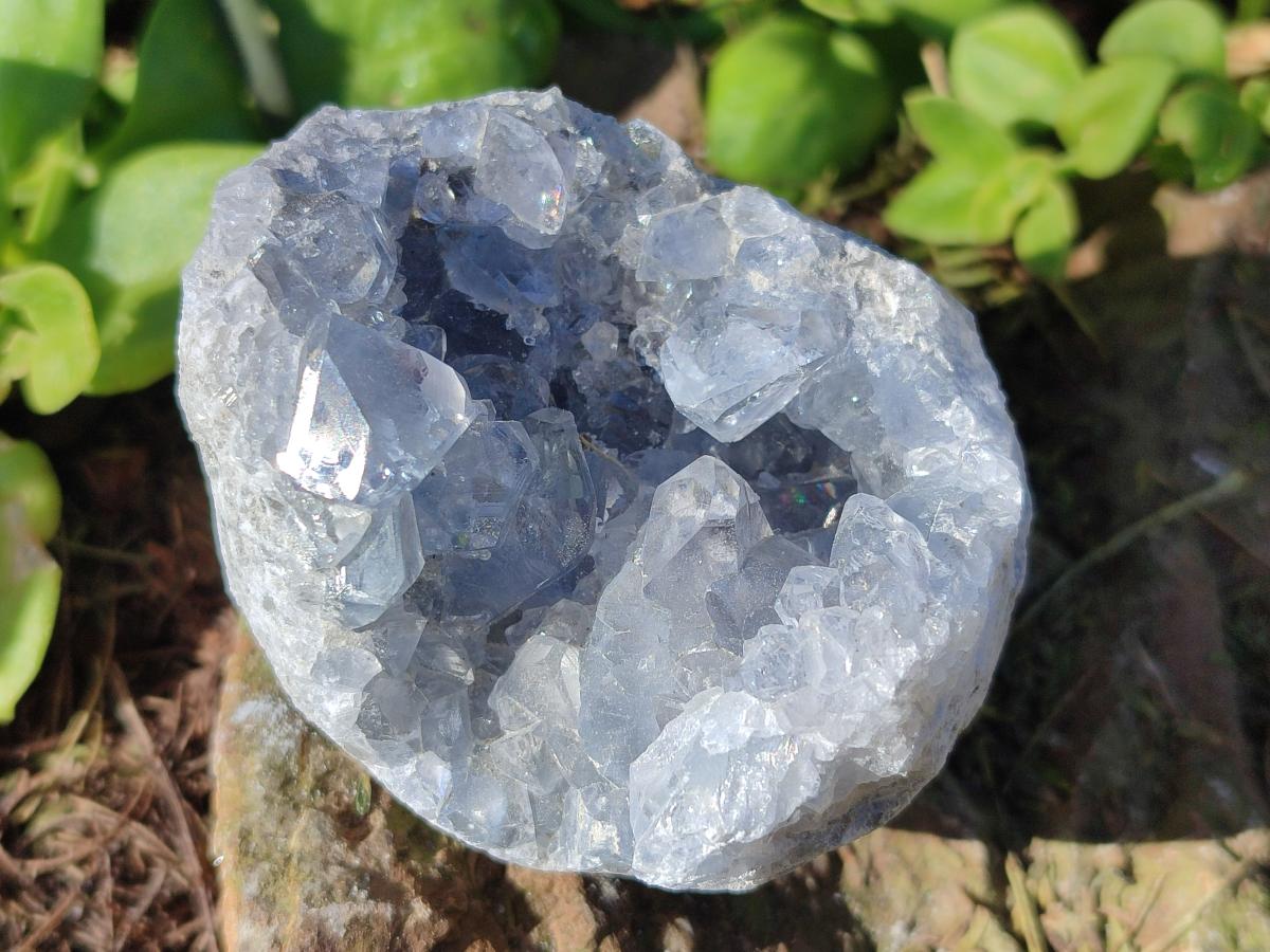 Natural Blue Celestite Specimens x 16 From Sakoany, Madagascar - Toprock Gemstones and Minerals 