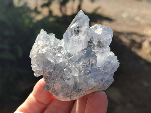 Natural Blue Celestite Specimens x 16 From Sakoany, Madagascar - Toprock Gemstones and Minerals 