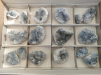 Natural Blue Celestite Specimens x 16 From Sakoany, Madagascar - Toprock Gemstones and Minerals 