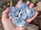 Natural Blue Celestite Specimens x 16 From Sakoany, Madagascar - Toprock Gemstones and Minerals 