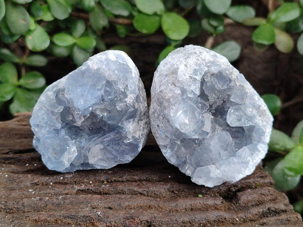 Natural Blue Celestite Specimens x 16 From Sakoany, Madagascar - Toprock Gemstones and Minerals 