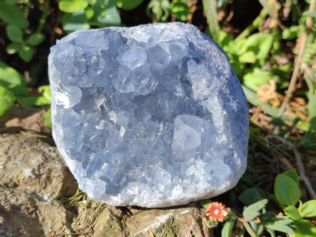 Natural Cabinet Size Blue Celestite Specimens x 2 From Sakoany, Madagascar - Toprock Gemstones and Minerals 