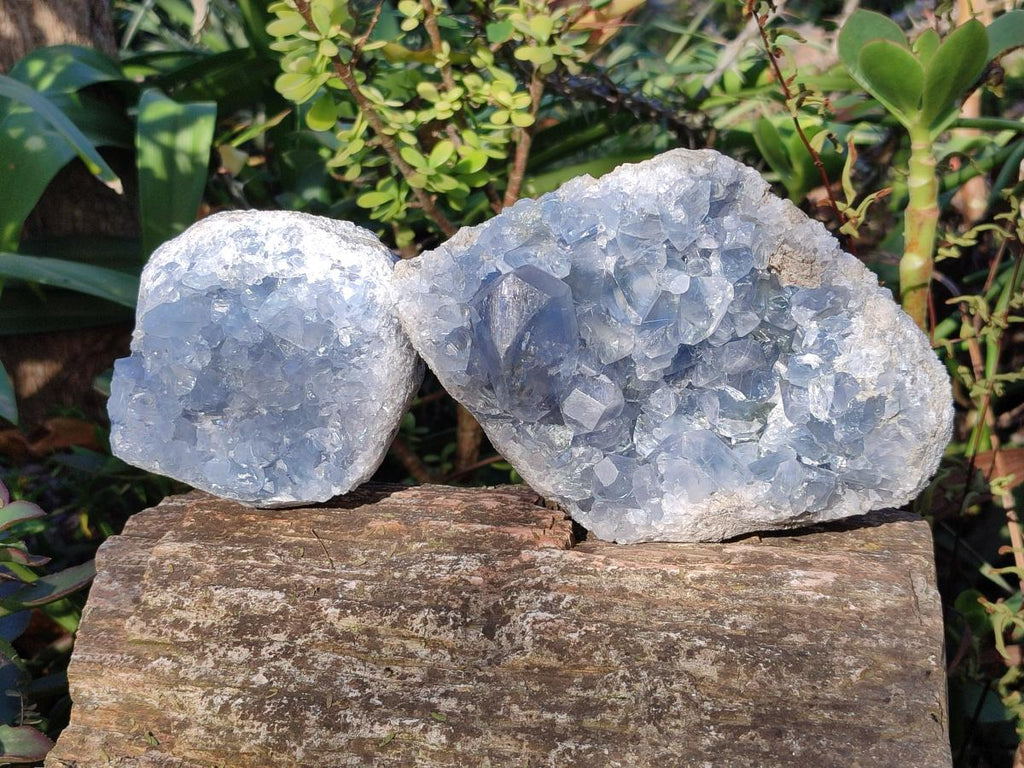 Natural Cabinet Size Blue Celestite Specimens x 2 From Sakoany, Madagascar - Toprock Gemstones and Minerals 