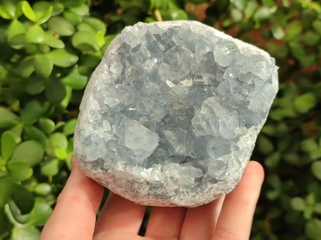 Natural Cabinet Size Blue Celestite Specimens x 2 From Sakoany, Madagascar - Toprock Gemstones and Minerals 