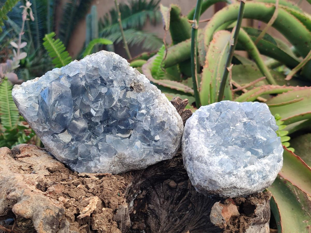 Natural Cabinet Size Blue Celestite Specimens x 2 From Sakoany, Madagascar - Toprock Gemstones and Minerals 