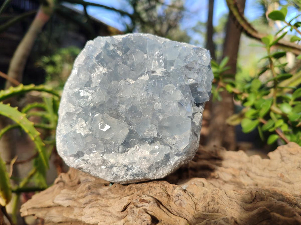 Natural Cabinet Size Blue Celestite Specimens x 2 From Sakoany, Madagascar - Toprock Gemstones and Minerals 