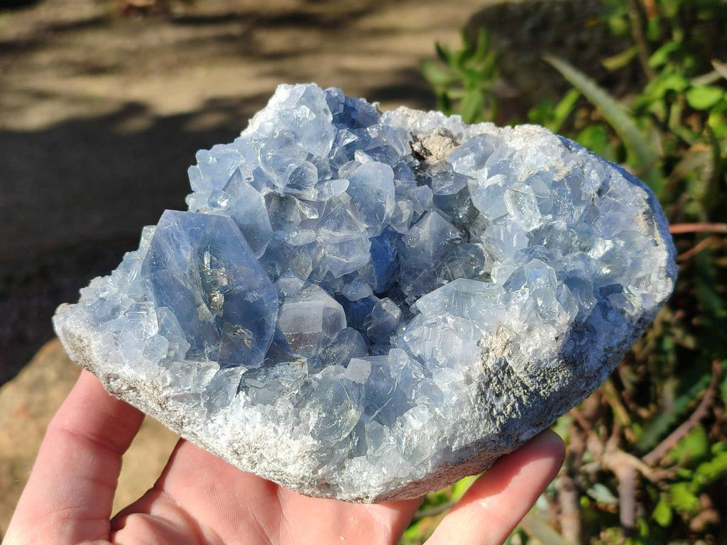 Natural Cabinet Size Blue Celestite Specimens x 2 From Sakoany, Madagascar - Toprock Gemstones and Minerals 