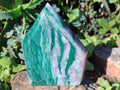 Polished Buddstone Display Crystals x 3 From Swaziland - Toprock Gemstones and Minerals 