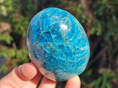 Polished Blue Apatite Standing Display Pieces x 6 From Betroka, Madagascar - Toprock Gemstones and Minerals 