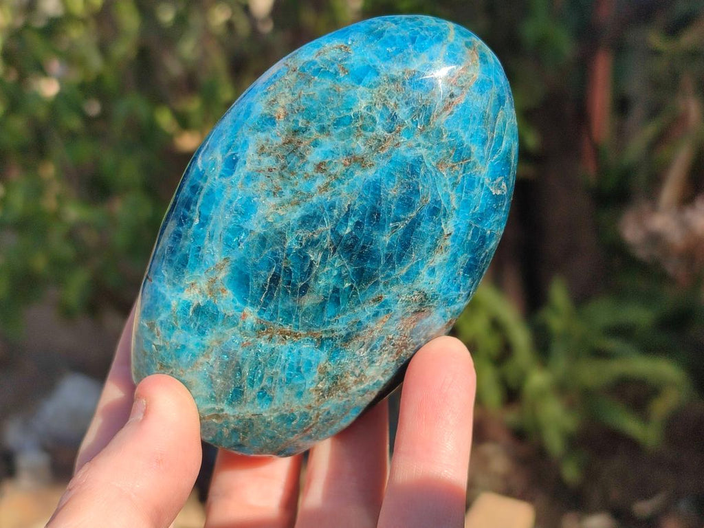 Polished Blue Apatite Standing Display Pieces x 6 From Betroka, Madagascar - Toprock Gemstones and Minerals 