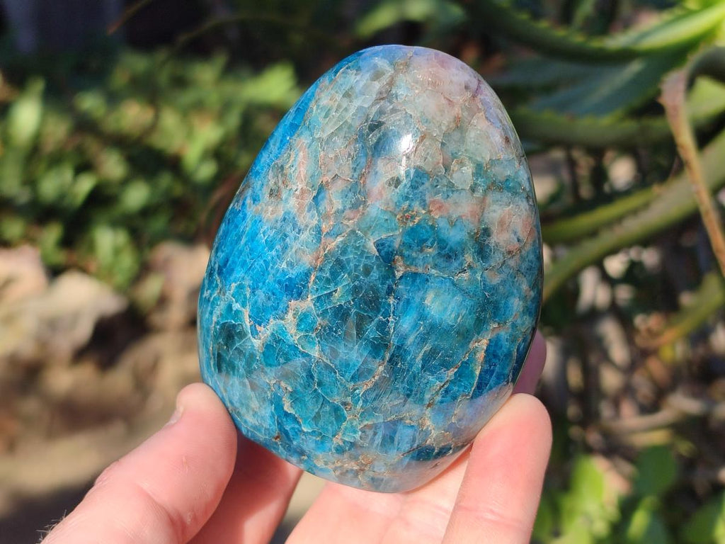 Polished Blue Apatite Standing Display Pieces x 6 From Betroka, Madagascar - Toprock Gemstones and Minerals 