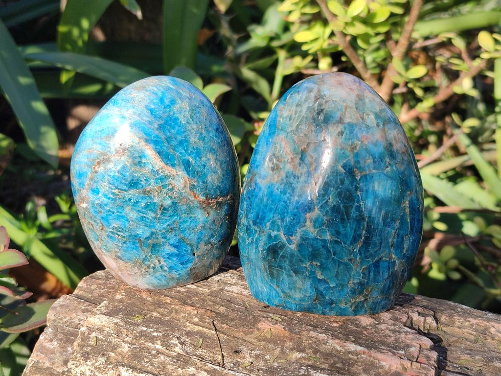 Polished Blue Apatite Standing Display Pieces x 6 From Betroka, Madagascar - Toprock Gemstones and Minerals 