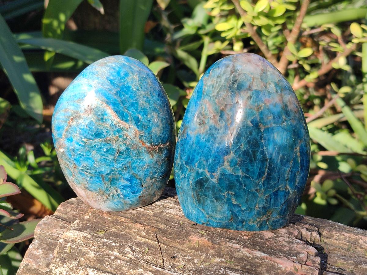 Polished Blue Apatite Standing Display Pieces x 6 From Betroka, Madagascar - Toprock Gemstones and Minerals 
