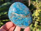 Polished Blue Apatite Standing Display Pieces x 6 From Betroka, Madagascar - Toprock Gemstones and Minerals 