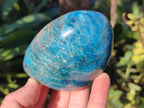 Polished Blue Apatite Standing Display Pieces x 6 From Betroka, Madagascar - Toprock Gemstones and Minerals 