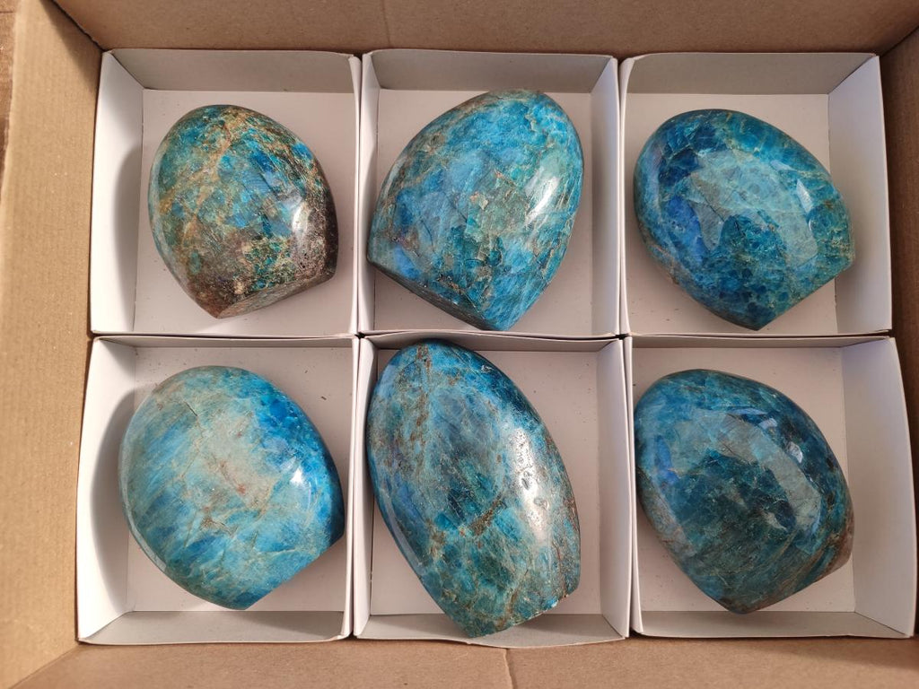 Polished Blue Apatite Standing Display Pieces x 6 From Betroka, Madagascar - Toprock Gemstones and Minerals 
