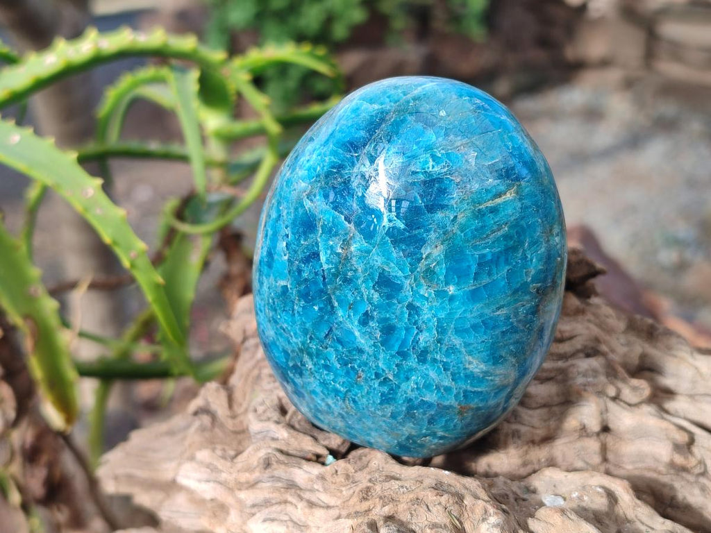 Polished Blue Apatite Standing Display Pieces x 6 From Betroka, Madagascar - Toprock Gemstones and Minerals 