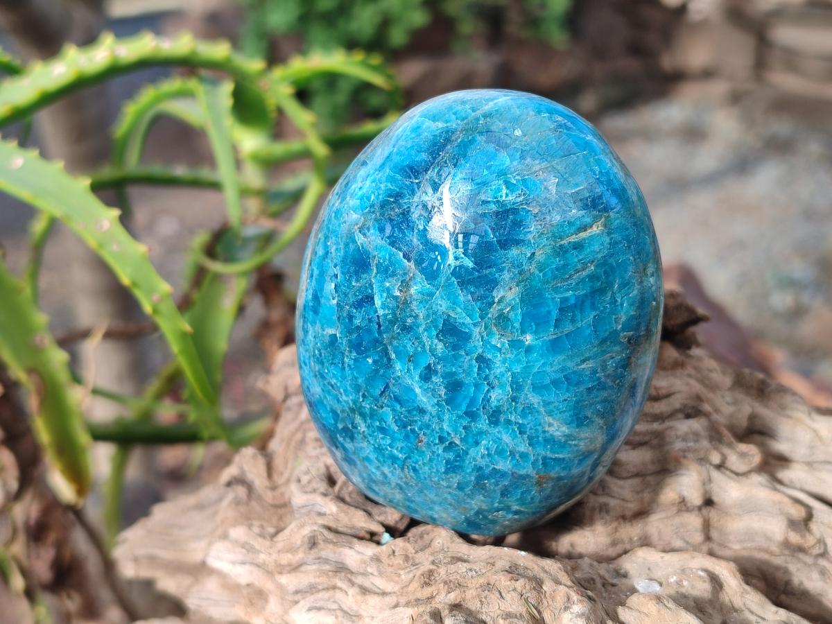 Polished Blue Apatite Standing Display Pieces x 6 From Betroka, Madagascar - Toprock Gemstones and Minerals 