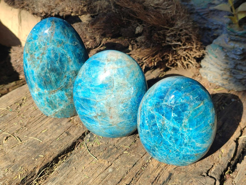 Polished Blue Apatite Standing Display Pieces x 6 From Betroka, Madagascar - Toprock Gemstones and Minerals 