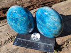 Polished Blue Apatite Standing Display Pieces x 6 From Betroka, Madagascar - Toprock Gemstones and Minerals 