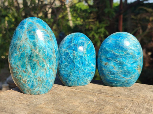 Polished Blue Apatite Standing Display Pieces x 6 From Betroka, Madagascar - Toprock Gemstones and Minerals 