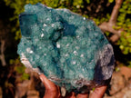 Natural Large Green Cubic Fluorite Specimen x 1 From Mandrosonoro, Madagascar - Toprock Gemstones and Minerals 