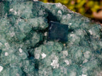 Natural Large Green Cubic Fluorite Specimen x 1 From Mandrosonoro, Madagascar - Toprock Gemstones and Minerals 