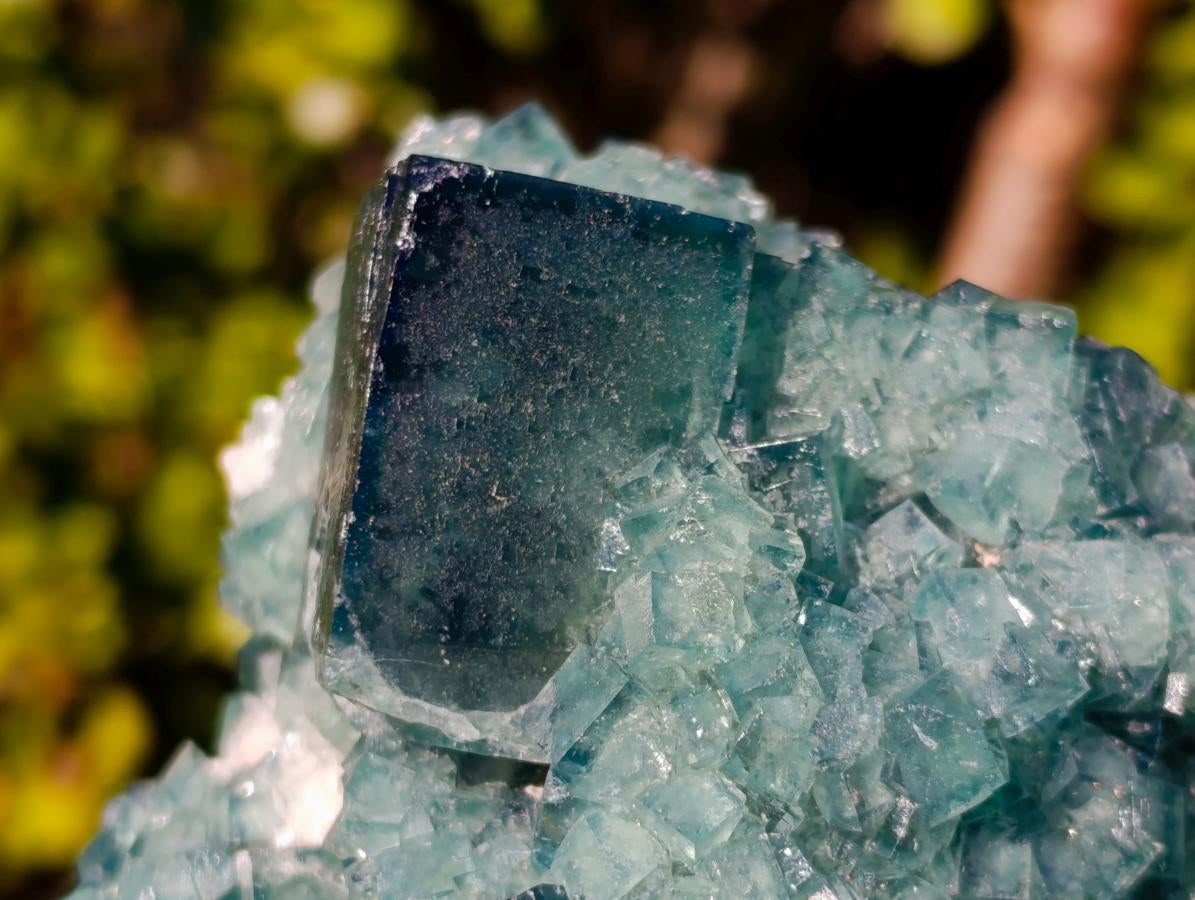 Natural Large Green Cubic Fluorite Specimen x 1 From Mandrosonoro, Madagascar - Toprock Gemstones and Minerals 