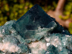 Natural Large Green Cubic Fluorite Specimen x 1 From Mandrosonoro, Madagascar - Toprock Gemstones and Minerals 