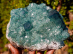Natural Large Green Cubic Fluorite Specimen x 1 From Mandrosonoro, Madagascar - Toprock Gemstones and Minerals 