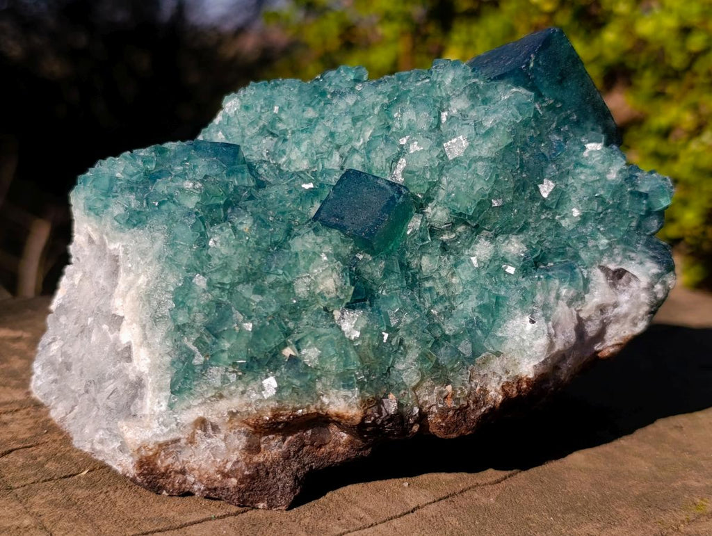 Natural Large Green Cubic Fluorite Specimen x 1 From Mandrosonoro, Madagascar - Toprock Gemstones and Minerals 