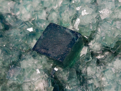 Natural Large Green Cubic Fluorite Specimen x 1 From Mandrosonoro, Madagascar - Toprock Gemstones and Minerals 