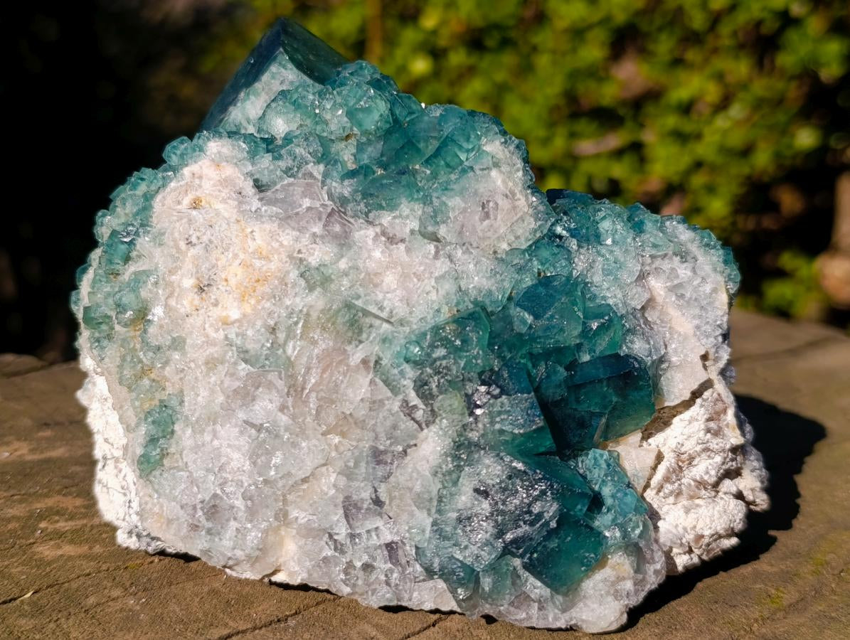 Natural Large Green Cubic Fluorite Specimen x 1 From Mandrosonoro, Madagascar - Toprock Gemstones and Minerals 