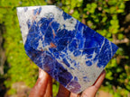 Polished Sodalite Display Crystals x 3 From Kunene River, Namibia - Toprock Gemstones and Minerals 